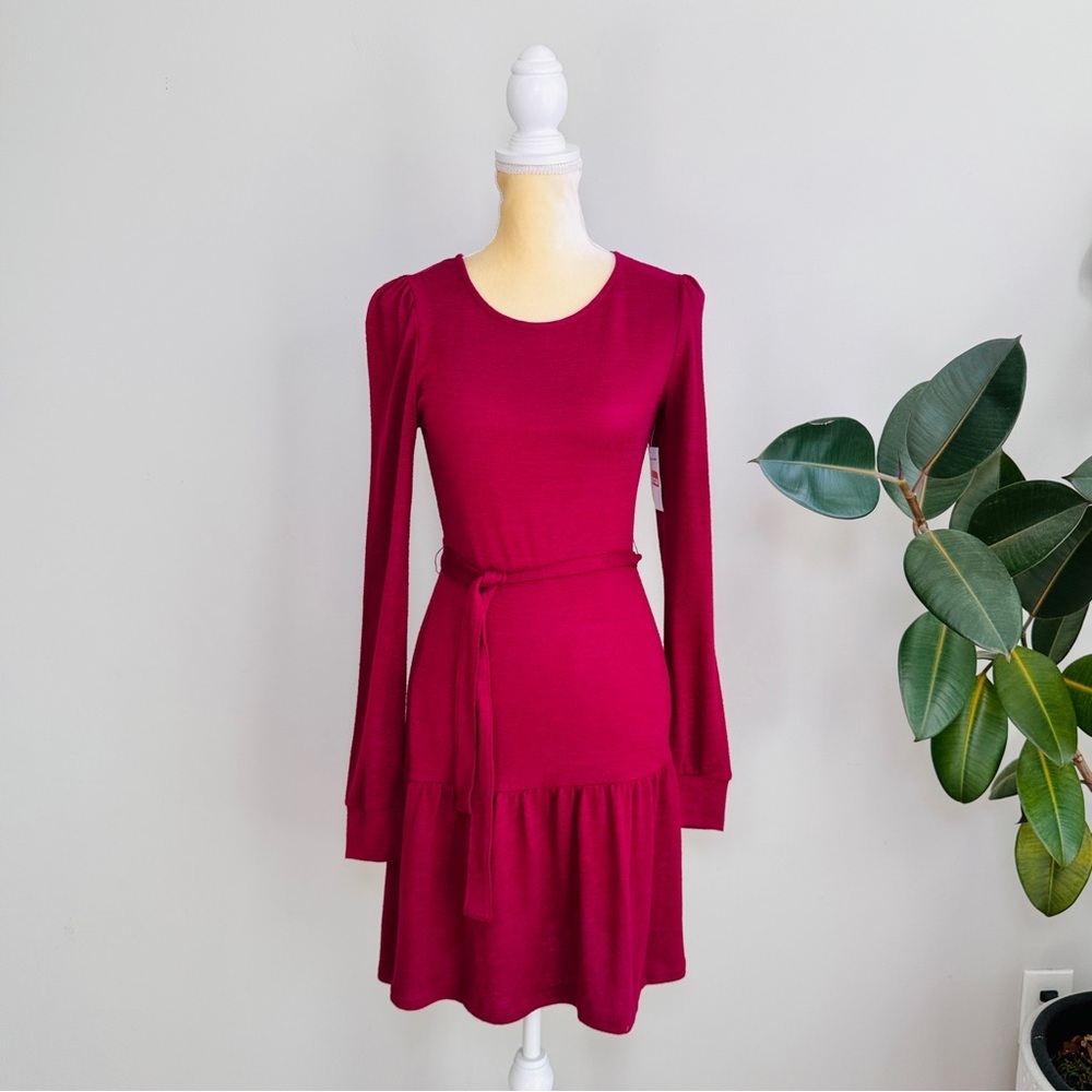 RDI Nordstrom belted knit long sleeve dress